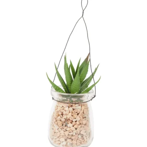 Merk Absolu Chic Kunstvetplant In Hangpot Transparant,Groen Best