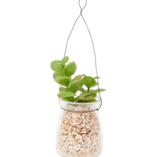 Merk Absolu Chic Kunstvetplant In Hangpot Transparant,Groen Best