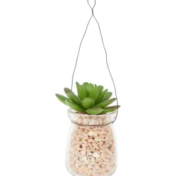 Merk Absolu Chic Kunstvetplant In Hangpot Transparant,Groen Best