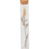 Merk Buisje Met Droogbloemen Outlet
