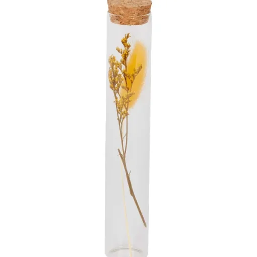 Merk Buisje Met Droogbloemen Outlet