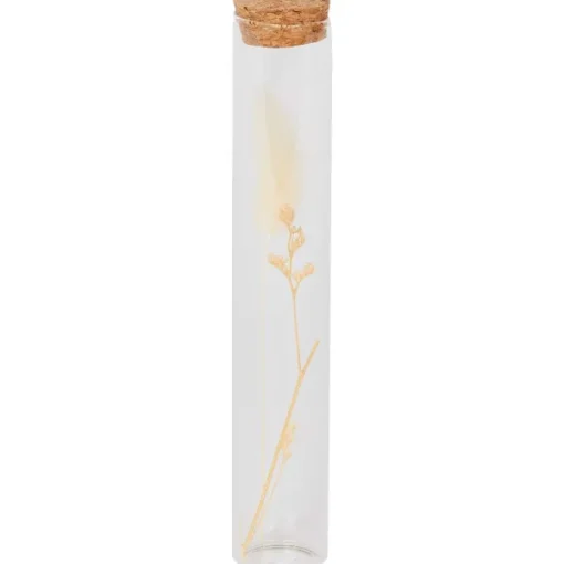 Merk Buisje Met Droogbloemen Outlet