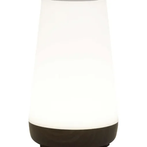LSC Smart Connect Deluxa Touch Lamp Outlet