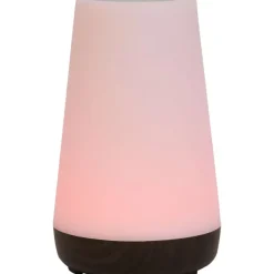 LSC Smart Connect Deluxa Touch Lamp Outlet