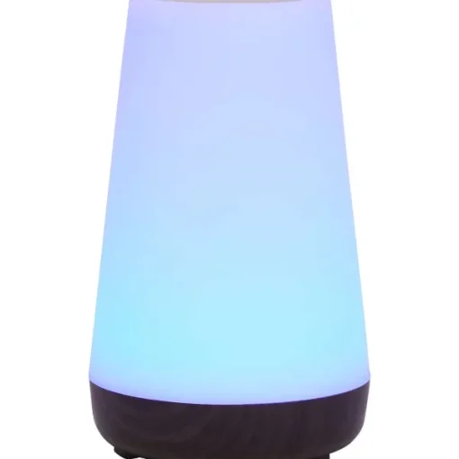 LSC Smart Connect Deluxa Touch Lamp Outlet