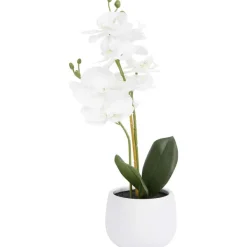 Merk Excellent Flowers Kunstorchidee In Pot Roze,Wit Discount