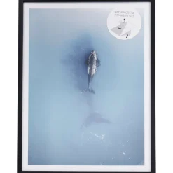 Merk Fotoframe Met Posters Bruin,Zwart New