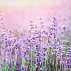 Merk Garden Collection Tuindoek Print Best