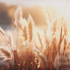 Merk Garden Collection Tuindoek Print Best