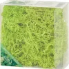 Merk Home Accents Decoratief Mos Groen Best