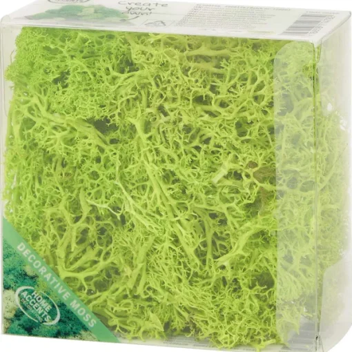 Merk Home Accents Decoratief Mos Groen Best
