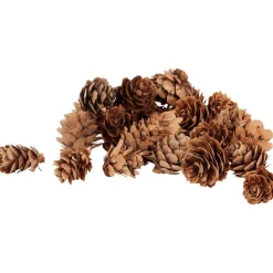 Merk Home Accents Decoratiemateriaal Best
