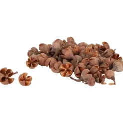 Merk Home Accents Decoratiemateriaal Best