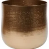 Merk Home Accents En Bloempot Goud