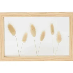 Merk Home Accents Fotolijst Met Droogbloemen Beige New