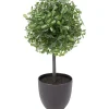 Merk Kunstbuxus Groen Outlet
