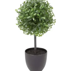 Merk Kunstbuxus Groen Outlet