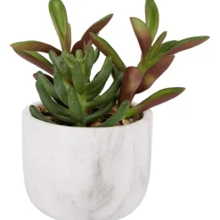 Merk Kunstvetplant In Marmerlook Pot Sale