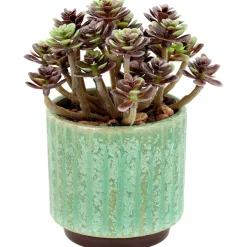 Merk Kunstvetplant In Pot Bruin,Groen,Print,Zwart Discount