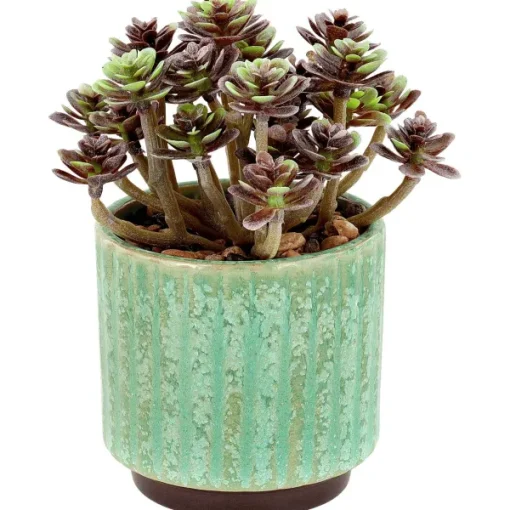 Merk Kunstvetplant In Pot Bruin,Groen,Print,Zwart Discount