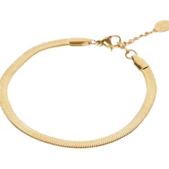 Merk Royal Divas Roestvrijstalen Armband Goud