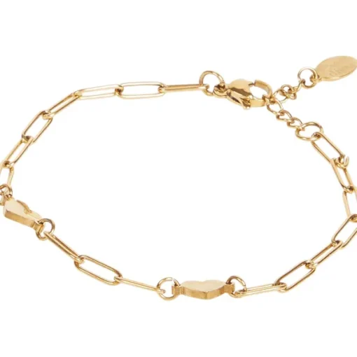 Merk Royal Divas Roestvrijstalen Armband Goud