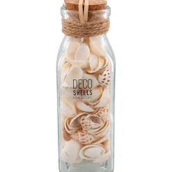 Merk Schelpen In Glazen Fles Meerkleurig New