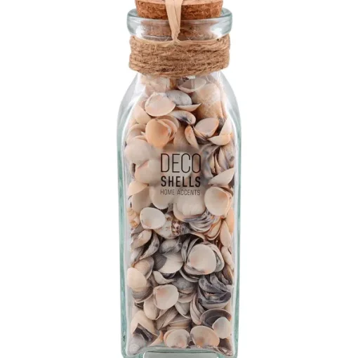 Merk Schelpen In Glazen Fles Meerkleurig New