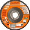 Werckmann Lamellenschijf New