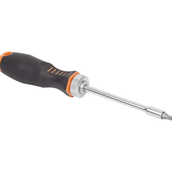 Werckmann Ratelschroevendraaier- En Bitset Hot