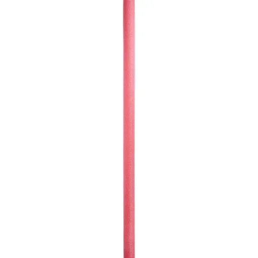 Intex Zwemnoodle Blauw,Groen,Paars,Rood Sale